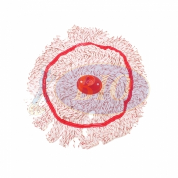 Cotton Circular Mop c/w Colour Ribbon (Refill) - Red
