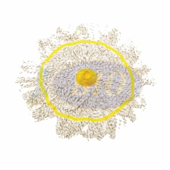 Cotton Circular Mop c/w Colour Ribbon (Refill) - Yellow