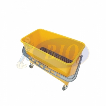 Window Bucket